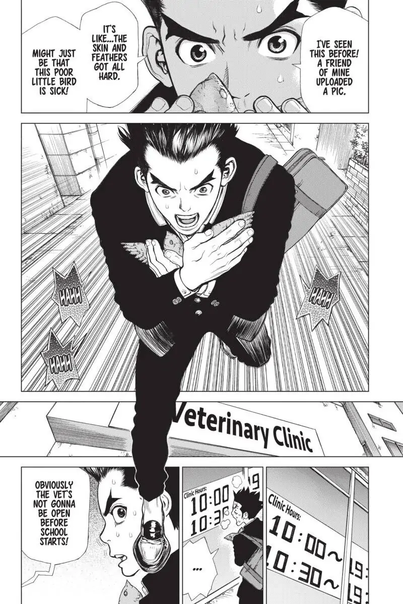 Chapter 1 image 22